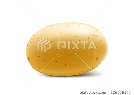 Raw whole yellow potato. Young potato mockup for web design isolated on white background. Vegetable fresh natural product, healthy lifestyle, eating concept. 3d realistic vector illustration 126916103