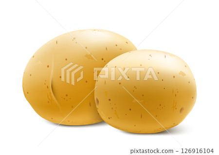 Raw whole yellow potatoes. Young potatoes mockup for web design isolated on white background. Vegetables fresh natural product, healthy lifestyle, eating concept. 3d realistic vector illustration 126916104