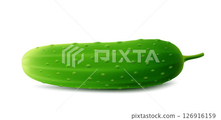 Green cucumber. Image of a ripe green cucumber. Fresh vegetarian product. Realistic 3d vector illustration isolated on a white background 126916159