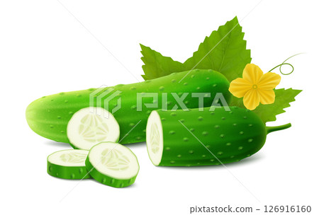 Realistic Detailed 3d Green Raw Whole Cucumbers, Slices, Flower and Leaves Element for Salad Recipe, Market. Vector illustration 126916160