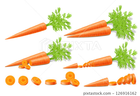 Bright vector set of colorful halves, slices and whole carrots with green stems. Fresh vegetable isolated on white background. Realistic 3d Vector illustration. For cooking, advertising, menu Bright vector set of colorful halves, slices and whole carrots with green stems. Fresh vegetable isolated on white background. Realistic 3d Vector illustration. For cooking, advertising, menu 126916162