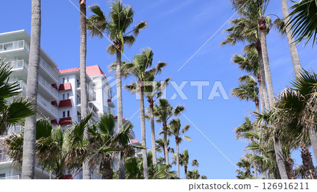 Zushi Marina 126916211