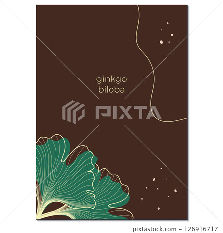 ginkgo leaf illustration ginkgo leaf illustration 126916717