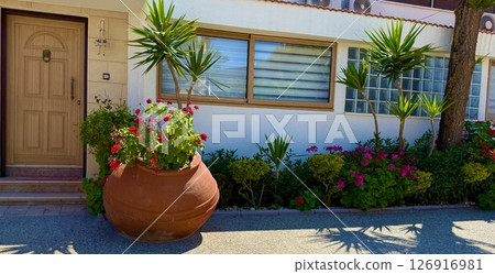 A flowers near a house in the Mediterranean, on the island of Cyprus. 126916981