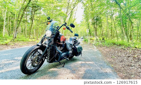 A motorcycle running through a forest of fresh greenery A motorcycle running through a forest of fresh greenery 126917615