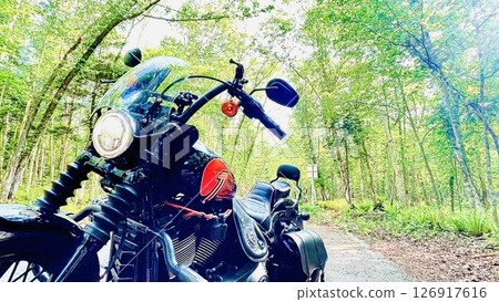A motorcycle riding through a forest of fresh greenery A motorcycle riding through a forest of fresh greenery 126917616