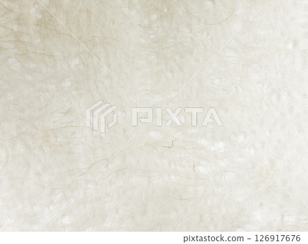 Traditional Japanese paper with beautiful paper fibers 126917676