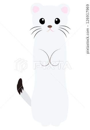 站立姿勢的可愛貂(正面)插圖 站立姿勢的可愛貂(正面)插圖 126917969