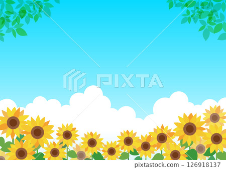 夏季向日葵田框架,背景 夏季向日葵田框架,背景 126918137