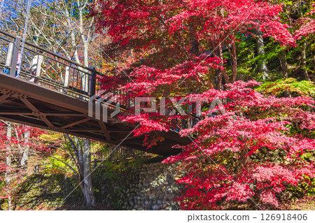 Nasushiobara City, Tochigi Prefecture Shiobara Hot Spring Village Crimson Suspension Bridge 126918406