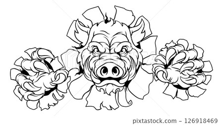 Boar Wild Hog Razorback Warthog Pig Sports Mascot Boar Wild Hog Razorback Warthog Pig Sports Mascot 126918469