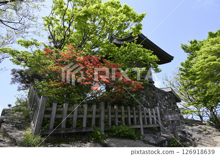 筑波山男體山本殿 126918639