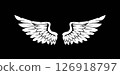 editable wings vector, wings angle, black and white, hawk wings, eagle wings, bird, feather, isolated background, wing set for t-shirt elements, coloring page vector 126918797