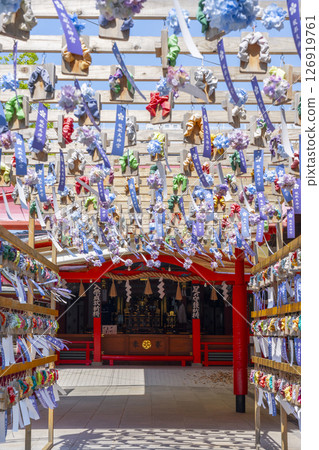 Hattori Tenjin Shrine Geta Corridor Hydrangea 126919761