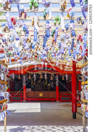 Hattori Tenjin Shrine Geta Corridor Hydrangea Hattori Tenjin Shrine Geta Corridor Hydrangea 126919763