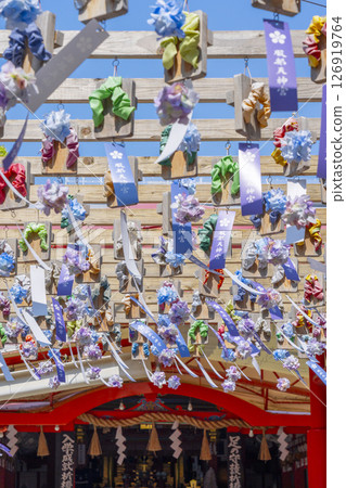 Hattori Tenjin Shrine Geta Corridor Hydrangea 126919764