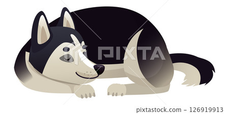 Siberian husky puppy resting peacefully with closed eyes, embodying tranquility and calmness while enjoying a cozy nap, radiating the joy of a beloved companion 126919913