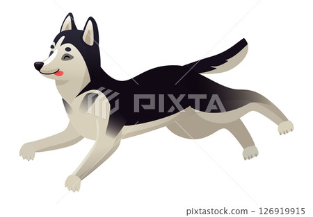 Cartoon husky dog running joyfully with tongue out, isolated against a white background, embodying playfulness, happiness, and vibrant canine energy 126919915