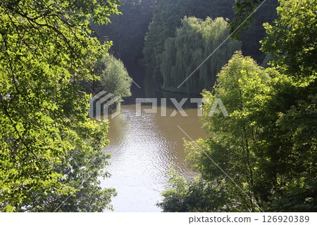 Beautiful colorful summer spring natural landscape with a lake in Park surrounded by green foliage  126920389