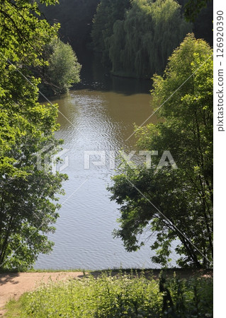 Beautiful colorful summer spring natural landscape with a lake in Park surrounded by green foliage  126920390