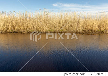 Beautiful calm lake bordered by golden reeds under a bright blue sky Beautiful calm lake bordered by golden reeds under a bright blue sky 126920740