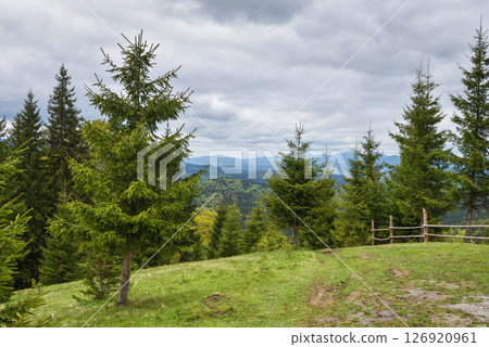 Picturesque mountain landscape. Mountain slopes with meadows, forests and cloudy sky. Picturesque mountain landscape. Mountain slopes with meadows, forests and cloudy sky. 126920961