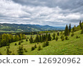 Picturesque mountain landscape. Mountain slopes with meadows, forests and cloudy sky.  126920962