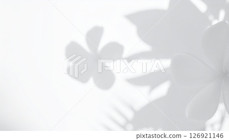 白色背景上花朵的柔和輪廓 白色背景上花朵的柔和輪廓 126921146