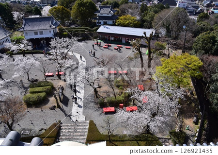 Inuyama Castle in spring and cherry blossoms in full bloom, Inuyama City, Aichi Prefecture, Japan. View from the top floor of the castle tower. Cherry blossoms on the grounds and tourists enjoying cherry blossom viewing. Inuyama Castle in spring and cherry blossoms in full bloom, Inuyama City, Aichi Prefecture, Japan. View from the top floor of the castle tower. Cherry blossoms on the grounds and tourists enjoying cherry blossom viewing. 126921435