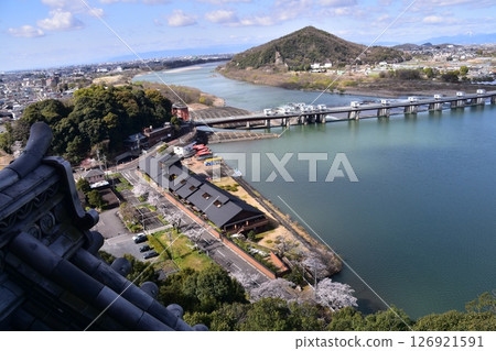 日本愛知縣犬山市：春天的犬山城，櫻花盛開。從國寶級天守閣頂層眺望。周圍的城市景觀和自然風光。 126921591