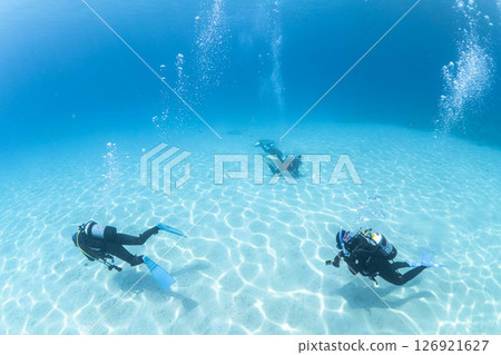 Summer and Divers Summer and Divers 126921627