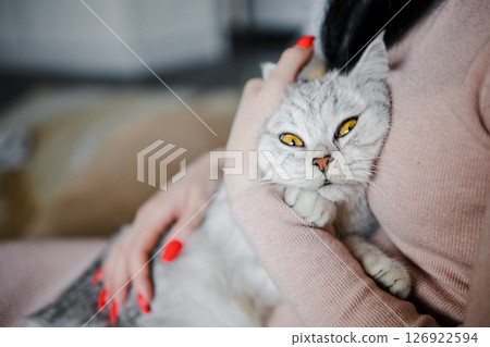 A British cat is calmly breathing and resting in a woman's arms A British cat is calmly breathing and resting in a woman's arms 126922594