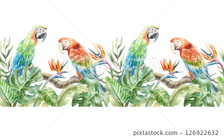 Tropical seamless border with parrots, palm leaves, monstera, strelitzia flowers. Hand drawn watercolor illustration isolated on white. Cards, invitations, summer banners, wallpapers, fabric. Tropical seamless border with parrots, palm leaves, monstera, strelitzia flowers. Hand drawn watercolor illustration isolated on white. Cards, invitations, summer banners, wallpapers, fabric. 126922632