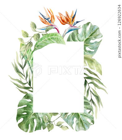 Tropical frame with palm leaves, monstera, liana, strelitzia flowers. Hand drawn watercolor illustration isolated on white. For postcards, invitations, summer banners, covers, labels. Tropical frame with palm leaves, monstera, liana, strelitzia flowers. Hand drawn watercolor illustration isolated on white. For postcards, invitations, summer banners, covers, labels. 126922634