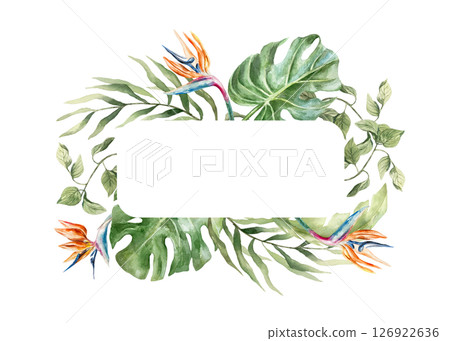 Tropical leaves frame with space for text. Plants strelitzia, monstera, palms. Hand drawn watercolor illustration isolated on white. Postcards, invitations, summer banners, covers, labels. Tropical leaves frame with space for text. Plants strelitzia, monstera, palms. Hand drawn watercolor illustration isolated on white. Postcards, invitations, summer banners, covers, labels. 126922636