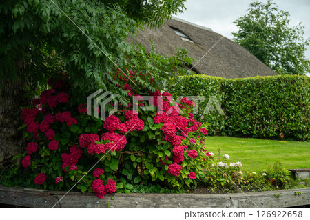 Landscape view of famous Giethoorn village in Netherlands with canals, trees and plants 126922658