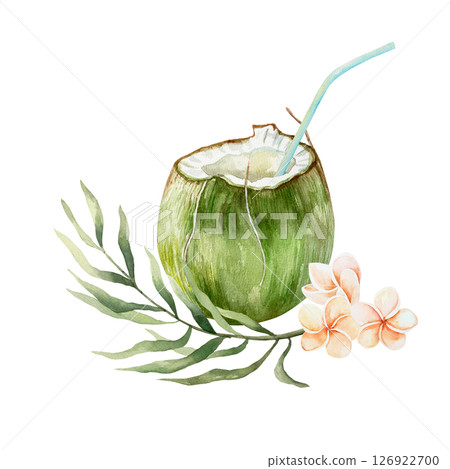 Coconut drink in green fruit with straw, plumeria flowers, palm branch. Watercolor illustration isolated on white. For postcards, invitations, tropical summer banners, menu, labels. Coconut drink in green fruit with straw, plumeria flowers, palm branch. Watercolor illustration isolated on white. For postcards, invitations, tropical summer banners, menu, labels. 126922700