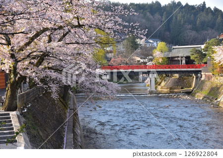 日本岐阜縣高山市的春天：盛開的櫻花、旅遊景點中橋和宮川、周圍的城市景觀和美麗的新綠 126922804