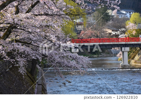 日本岐阜縣高山市的春天：盛開的櫻花、旅遊景點中橋和宮川、周圍的城市景觀和美麗的新綠 126922810