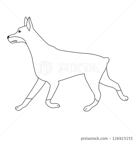Vector flat outline running doberman dog 126923155