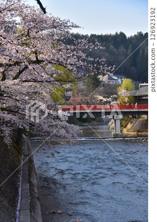 日本岐阜縣高山市的春天：盛開的櫻花、旅遊景點中橋和宮川、周圍的城市景觀和美麗的新綠 126923192