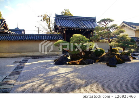 京都府,東寺甘地院,涅槃花園“長者之庭”,京都市南區九條町,2022 年 2 月 京都府,東寺甘地院,涅槃花園“長者之庭”,京都市南區九條町,2022 年 2 月 126923466