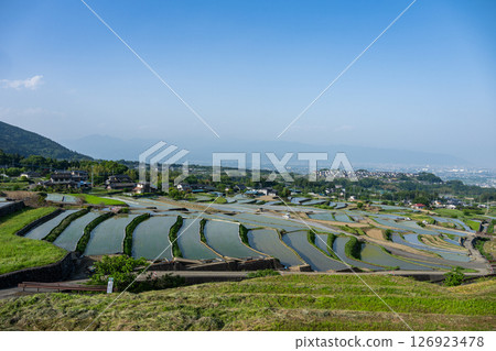 山梨的水稻梯田 山梨的水稻梯田 126923478