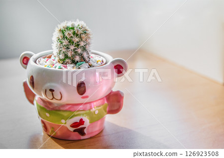 The Cactus in a pot 126923508
