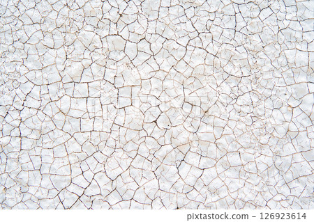 A thickly painted white wall with fine cracks 126923614