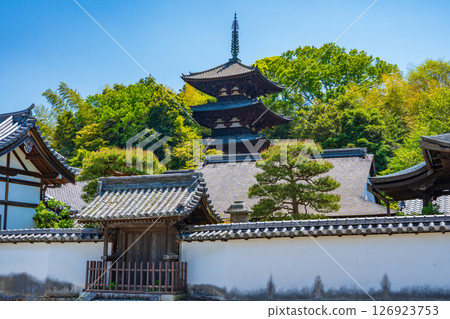 奈良縣葛市當麻寺東塔及中之坊 奈良縣葛市當麻寺東塔及中之坊 126923753