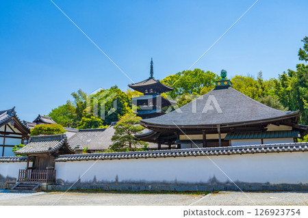 The east tower and Nakanobo of Taima-dera Temple, Katsuragi City, Nara Prefecture The east tower and Nakanobo of Taima-dera Temple, Katsuragi City, Nara Prefecture 126923754