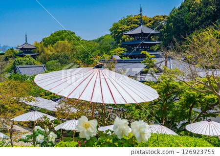 The west and east towers as seen from the inner sanctuary of Taimadera Temple, Katsuragi City, Nara Prefecture The west and east towers as seen from the inner sanctuary of Taimadera Temple, Katsuragi City, Nara Prefecture 126923755