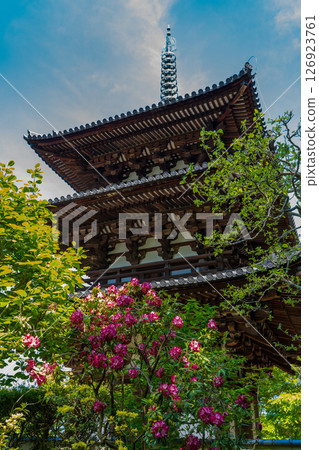 當麻寺:紅色的杜鵑花和三層西塔 當麻寺:紅色的杜鵑花和三層西塔 126923761