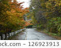 A mountain road passing through autumnal trees 126923913